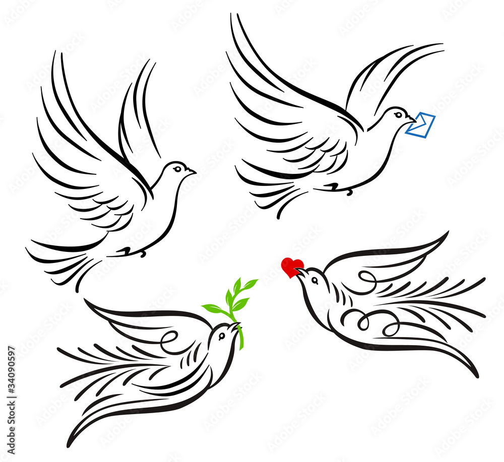 Obraz premium Friedenstaube + Brieftaube
