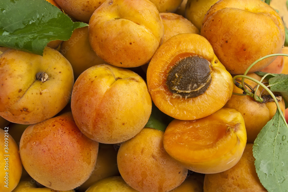 Apricot Apricot