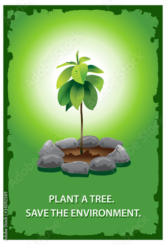 Plant a tree poster photo