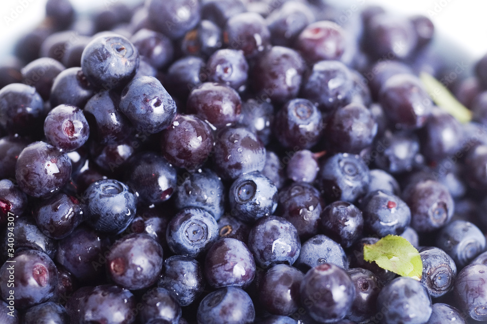 blueberry background blueberry background