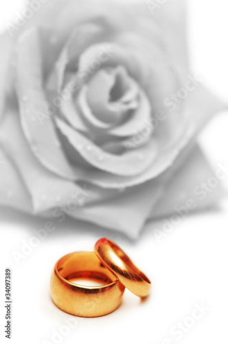 Wedding concept with roses and rings