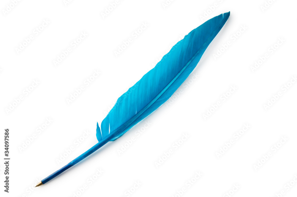 Writing feather isolated on the white background Writing feather isolated on the white background