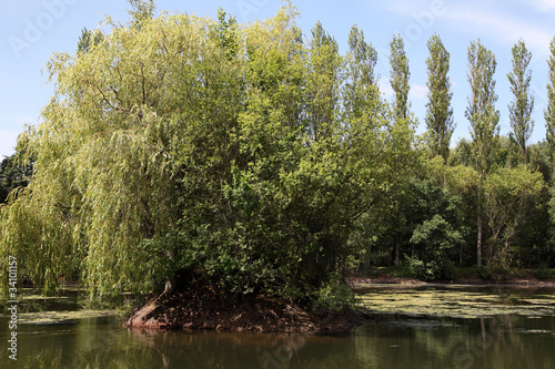 Brandon Marsh Nature Reserve