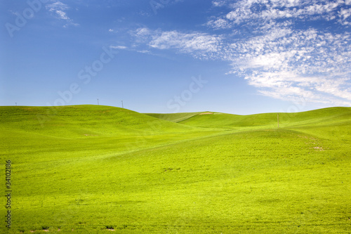 Green Wheat Grass Blue Skies Palouse Washington State