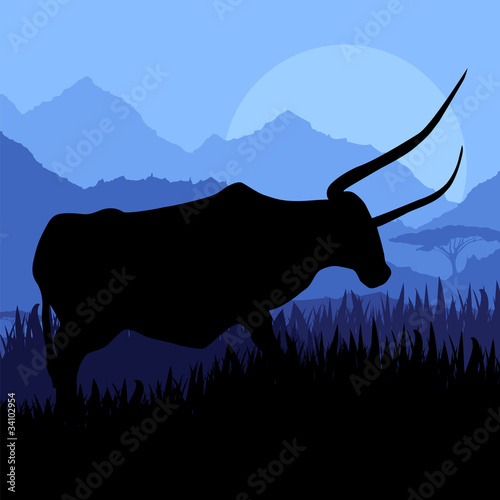 Angry bull in wild spanish country side landscape