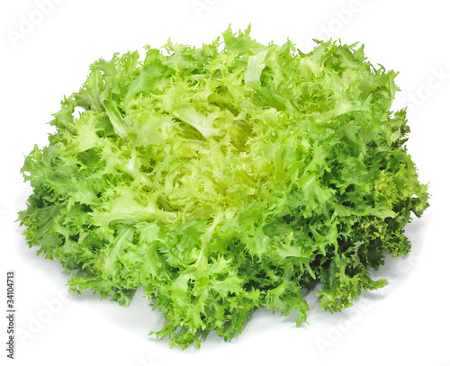 escarole endive