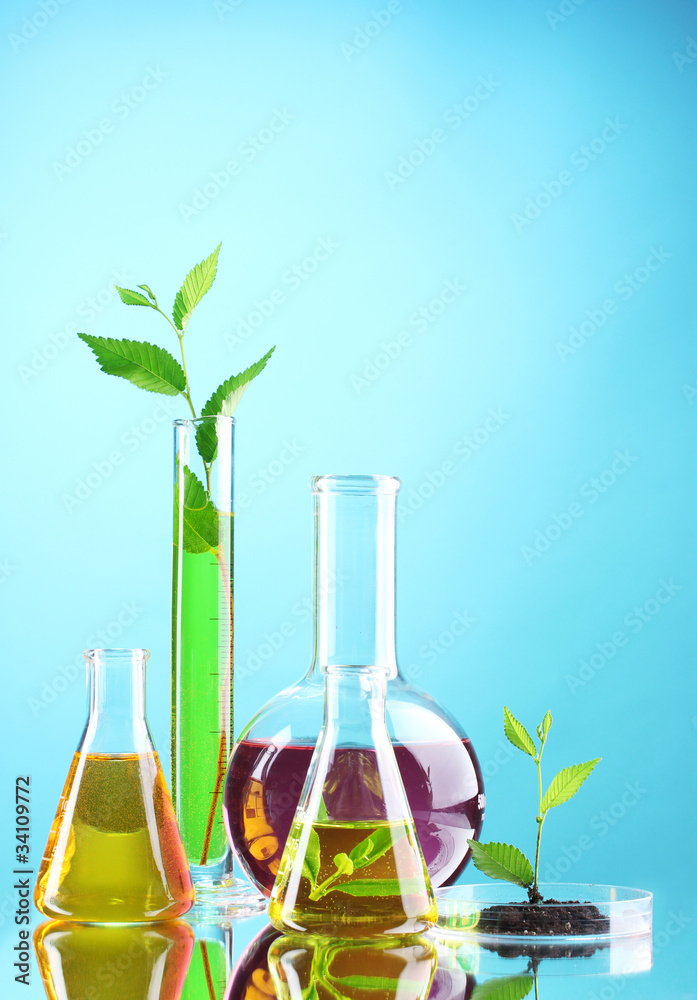 test tubes with plants on blue background test tubes with plants on blue background