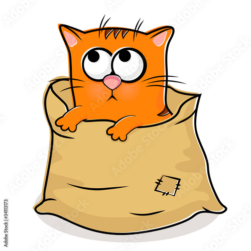 Nice kitten  in linen bag