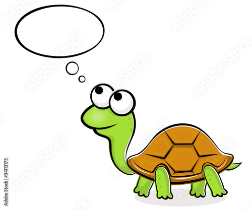 Funny turtle