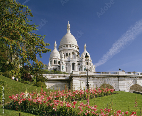 花咲くサクレクール寺院の風景