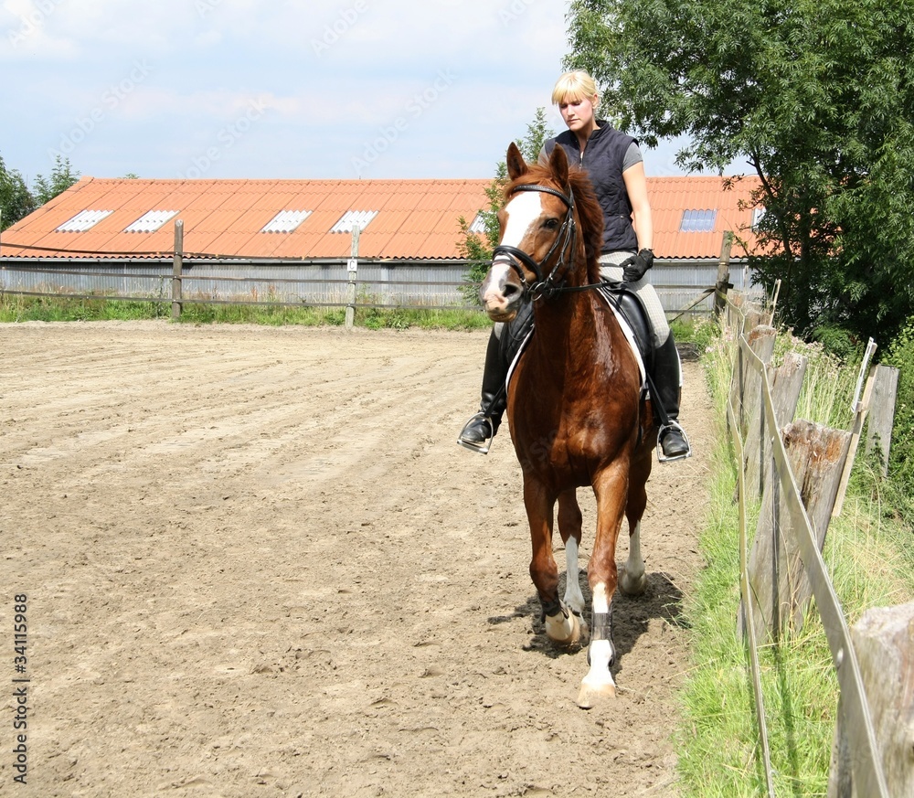 frau mit pferd