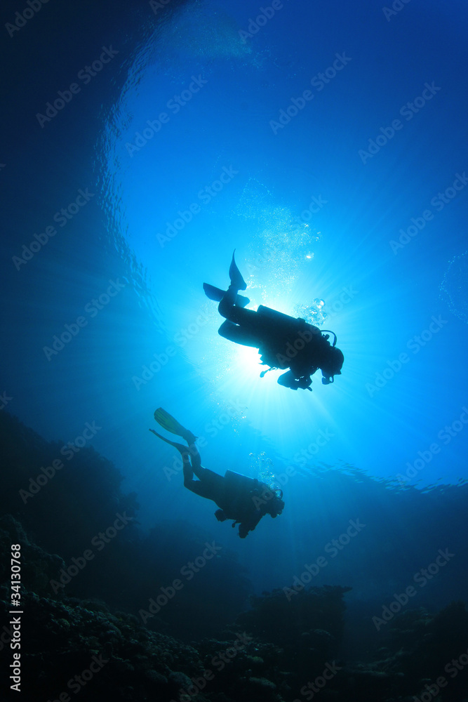 Obraz premium Divers on Scuba along reef