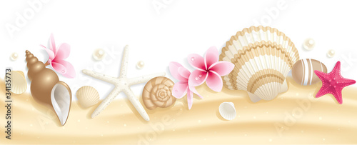 Seashell header