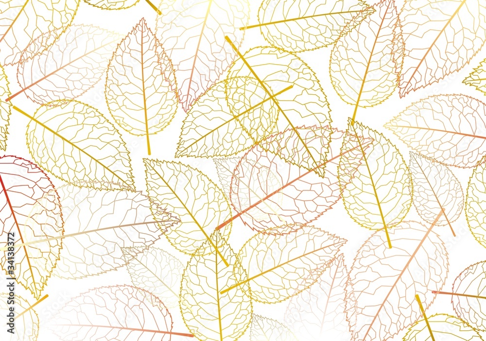 leaf autumn silhouette