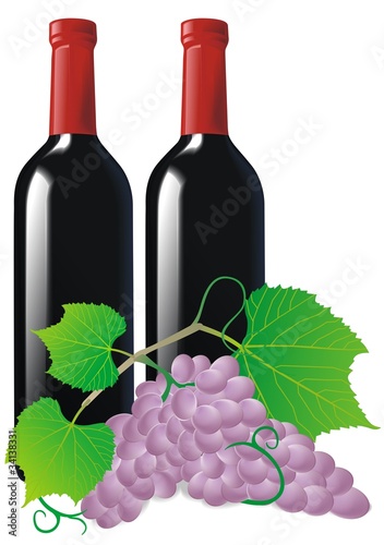 vine and wine