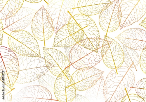 leaf autumn silhouette