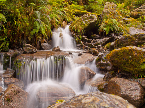 rainforest waterfall
