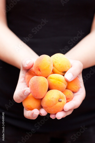 apricots in hand