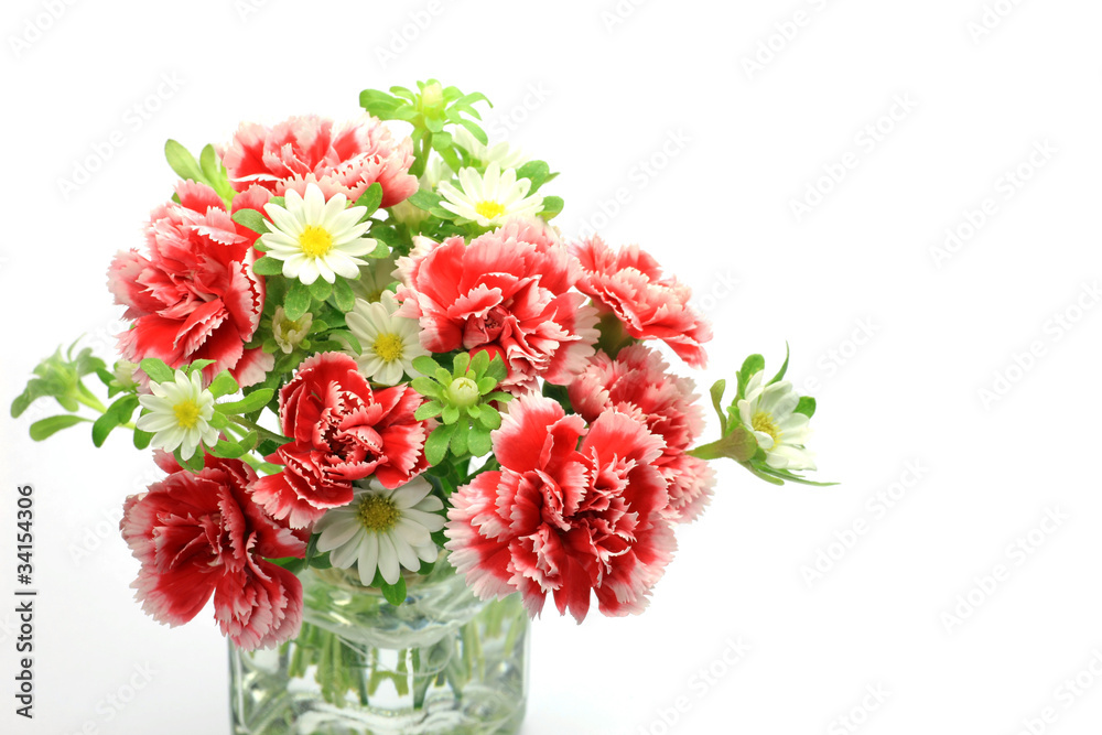 carnation and white flower carnation and white flower