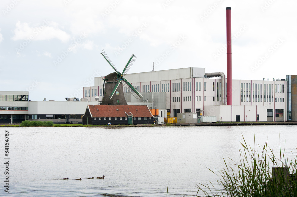 Fototapeta premium dutch windmill