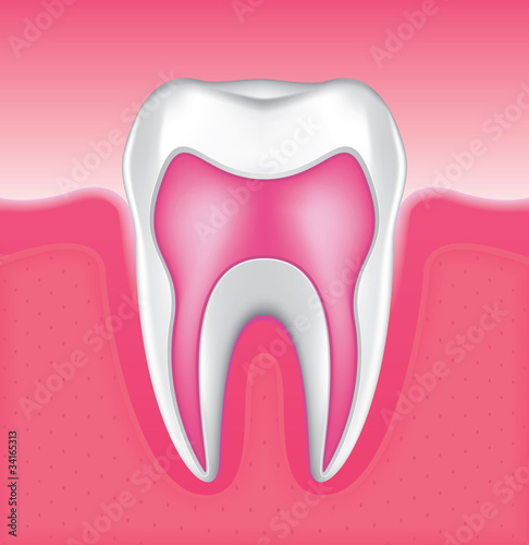 Tooth Set 4