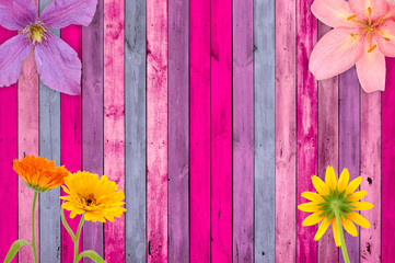 Pink Wood Background with Flowers