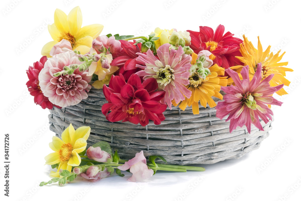 July European flowers in basket