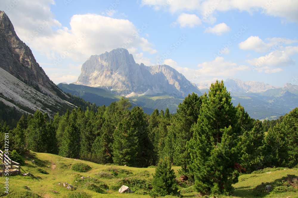 Il Sassolungo dall'alpe di Cisles (Val Gardena)