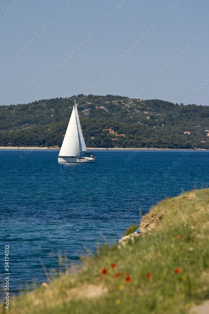 White sailing boat
