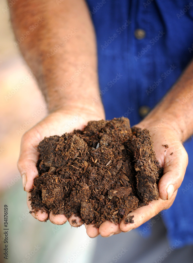 hands with soil hands with soil