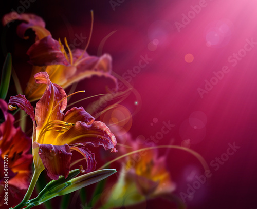 Fototapeta Naklejka Na Ścianę i Meble -  Flowers on a red background .With copy-space