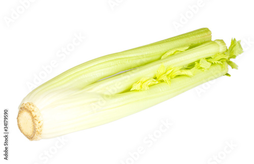 Fresh green celery vegetable