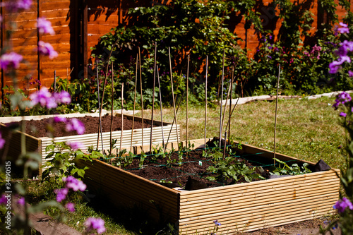 vegetable garden