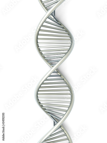 DNA Strang photo