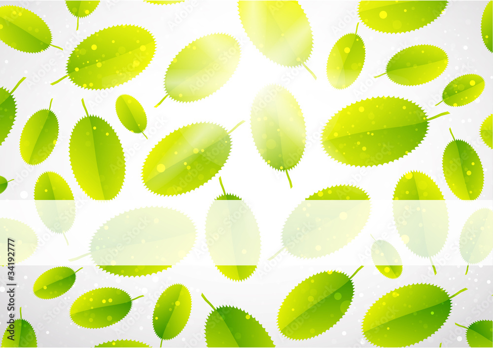 Leaf abstract background Leaf abstract background