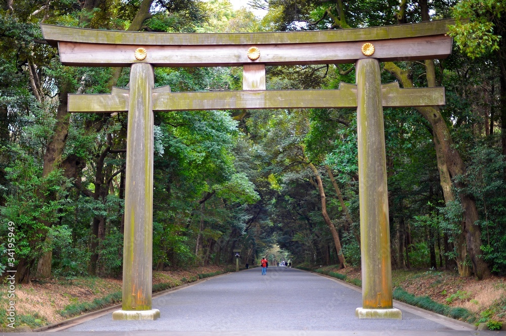 Torii, Yoyogi-Koen , Tokyo Torii, Yoyogi-Koen , Tokyo