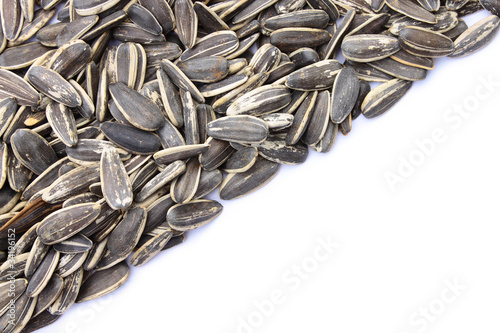 Grains of sunflower seed on white background