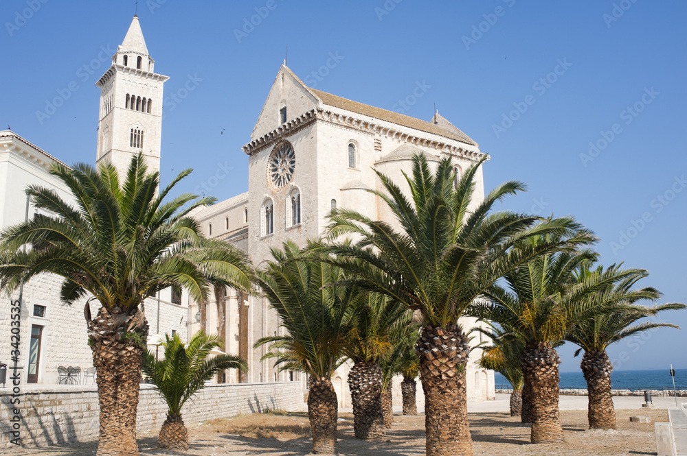 Trani (Puglia, Italy) - Medieval cathedral and palm trees