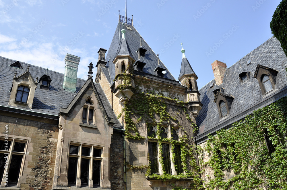 Fototapeta premium Burg Falkenstein im Harz Detail