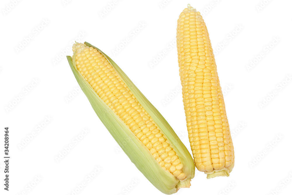 Obraz premium fresh corn