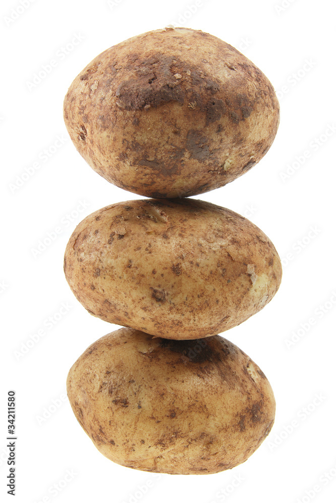 Fototapeta premium Potatoes