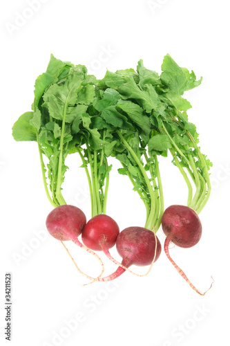 Red Radishes