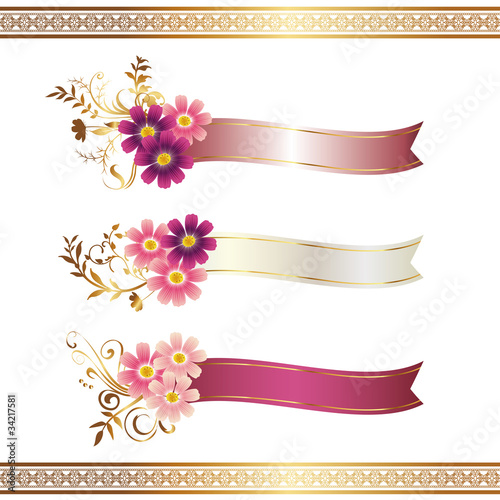 cosmos with ribbon