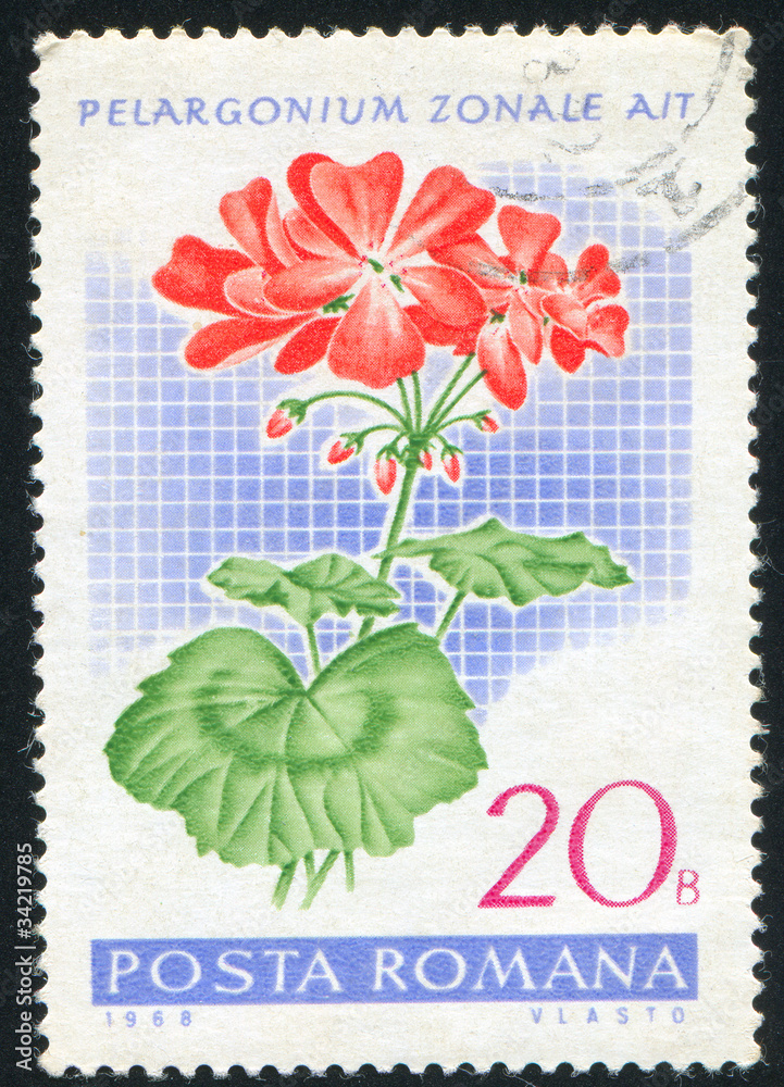 poststamp Geranium poststamp Geranium