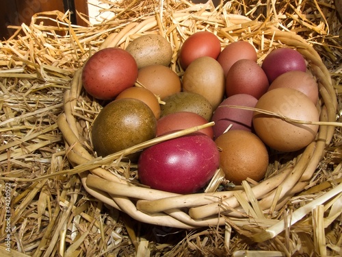 Osternest, Ostereier, gefärbt mit Naturfarben, in Nest mit Stroh photo