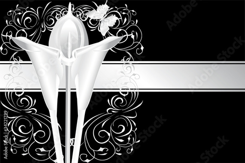 silver calla  2