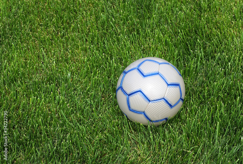 Soccer Ball on the Lawn