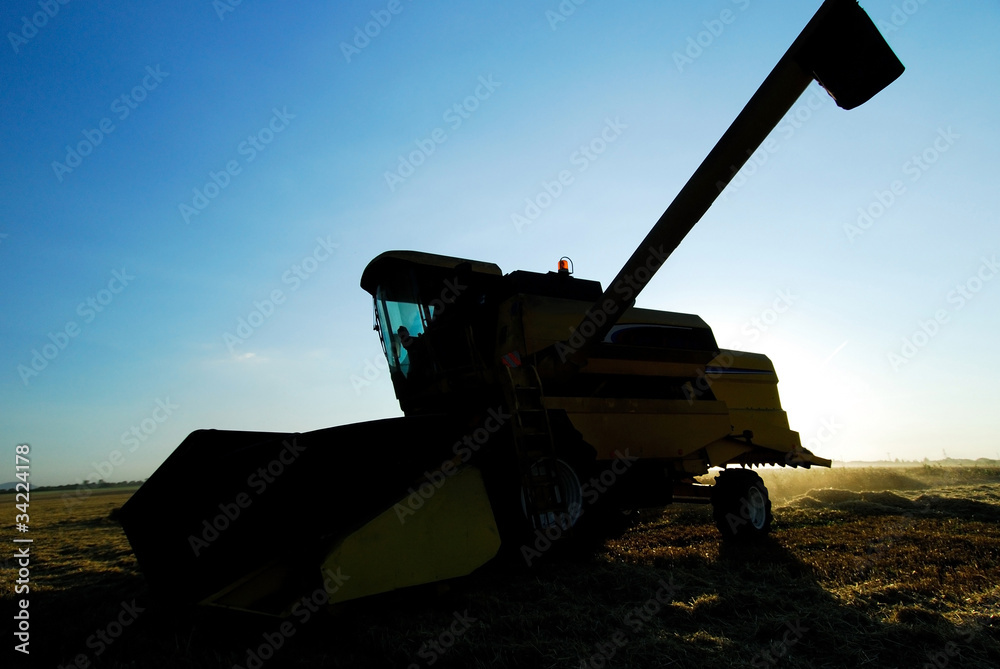 Fototapeta premium agriculture, country, combine, field, harvest, summer, work