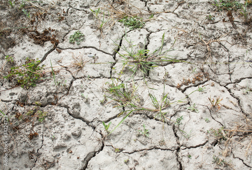 Cracked and Parched Dry Land in Drought