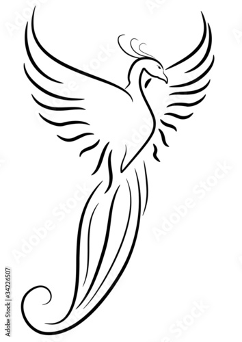 tatuaggio fenice